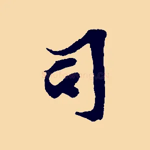 司