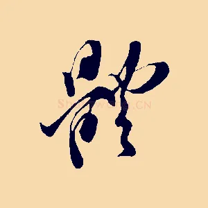 體