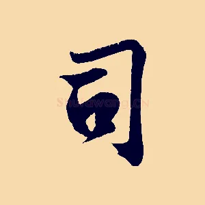 司