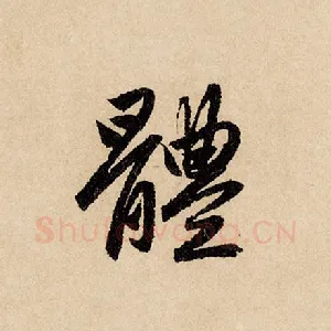 体