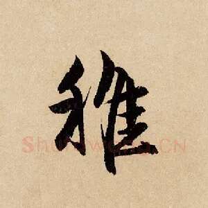 稚