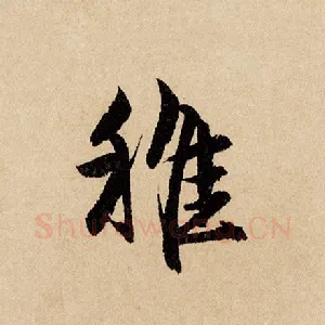 稚