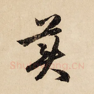 美
