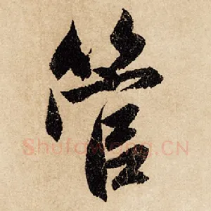 管