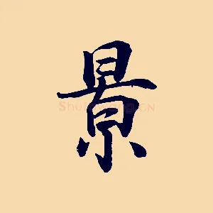 景