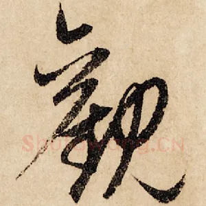 观