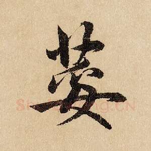 荾