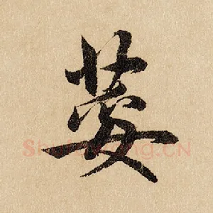 荾