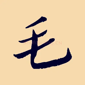 毛