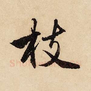 枝