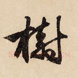 树