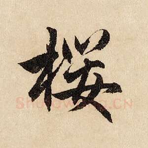 樱