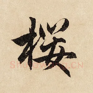 樱
