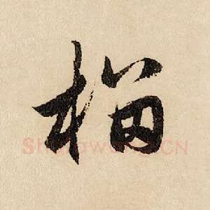 榴