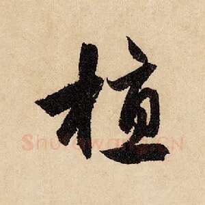 植