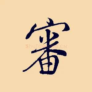 審