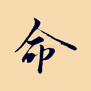 命