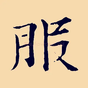 服