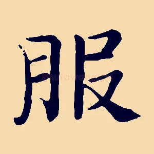 服