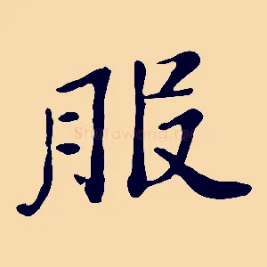 服