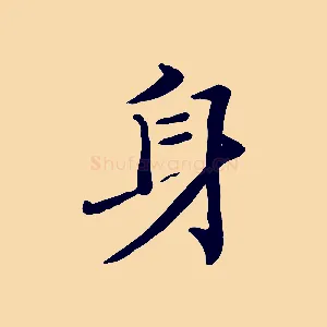 身