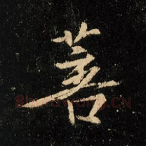 菩