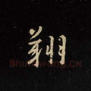 翔