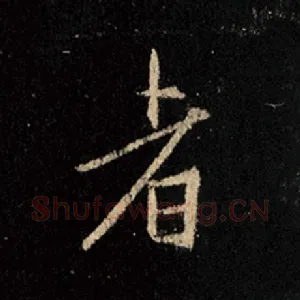 者