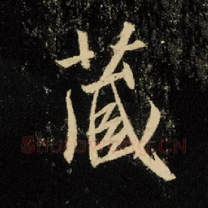 藏