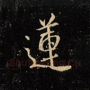 莲