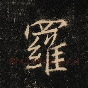 罗