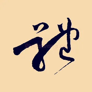 體