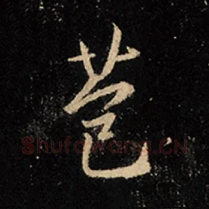 苞