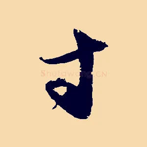 寸