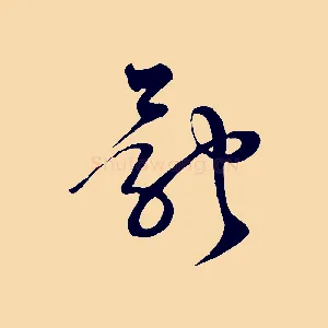 體
