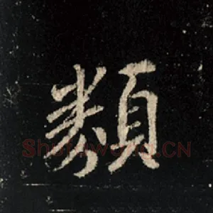 类