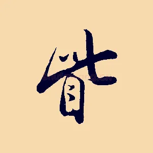 眥