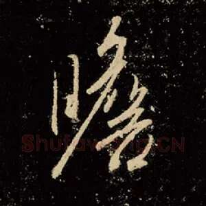 瞻