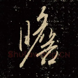 瞻