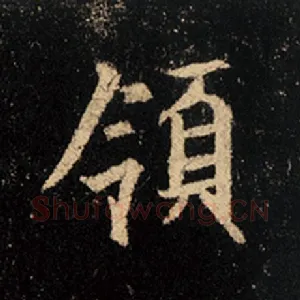 领