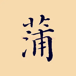 蒲
