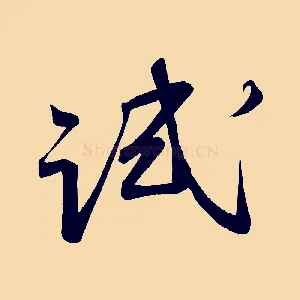 試