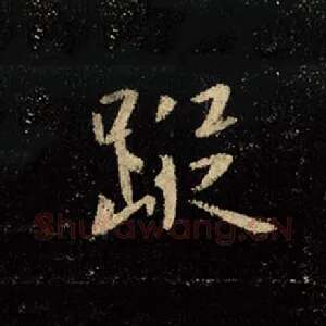 踪