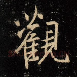 观