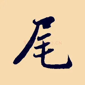 尾