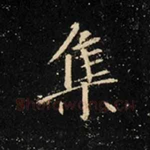 集