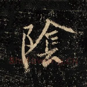 阴