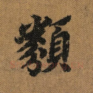 类