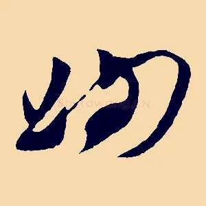洵