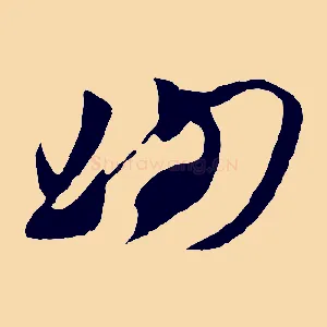 洵